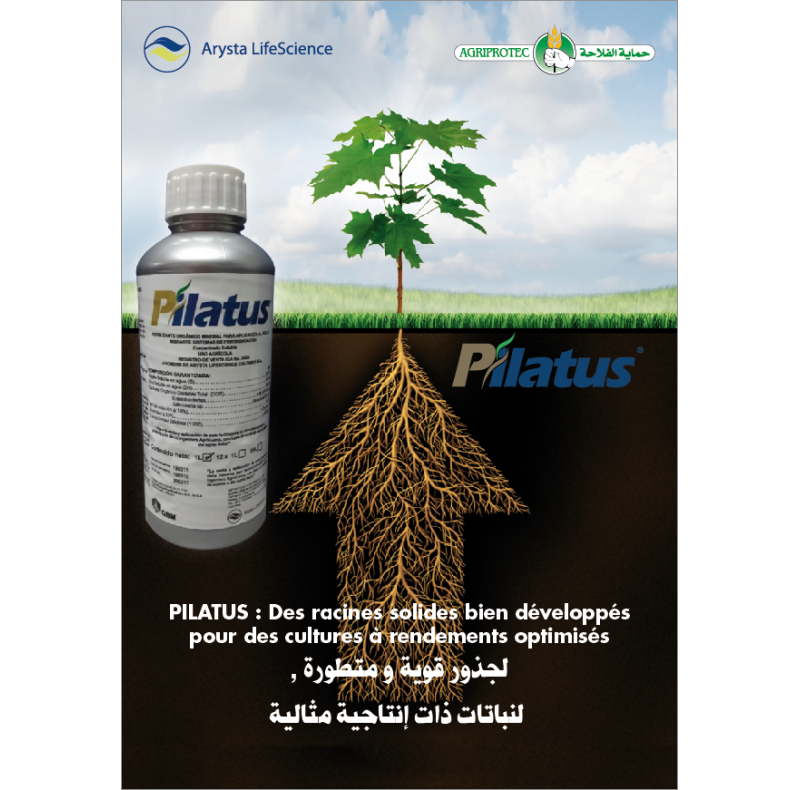 PILATUS PILATUS